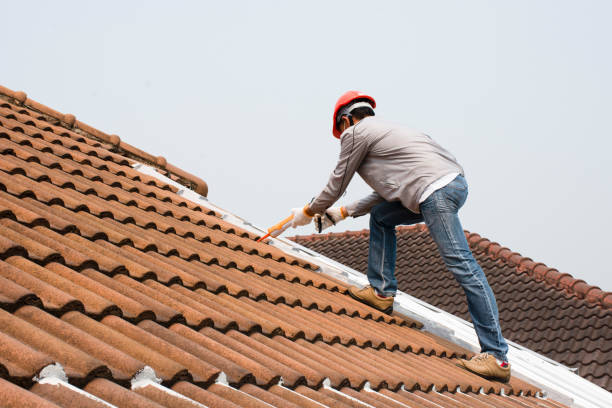 Best Storm Damage Roof Repair  in Moravian Falls, NC